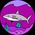 Johan Pensiere's profile picture