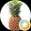 Rudy Jalving's profile picture
