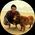 Photo de profil de Aaron Thies