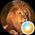 Shammary's profile picture
