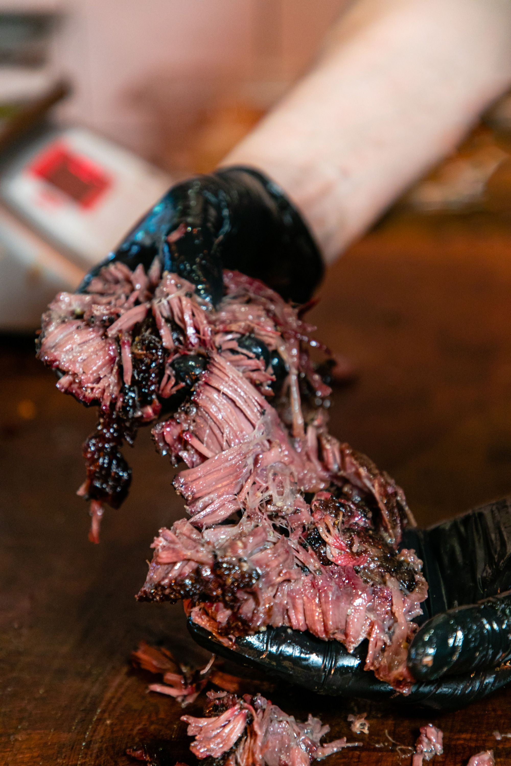Brisket effiloché présenté dans une main gantée, montrant la tendreté et la texture savoureuse.
